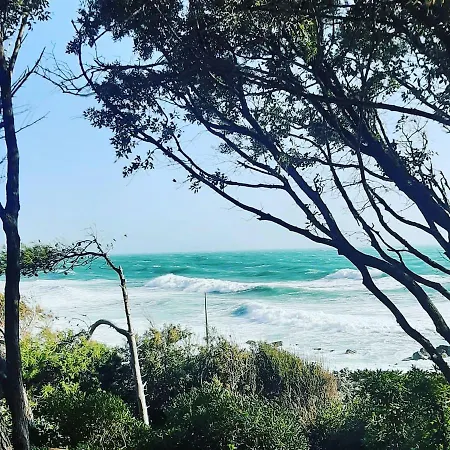 Holiday home La Casa In Pineta