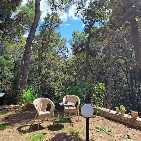 La Casa In Pineta * Quercianella